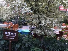 -南宫温泉水世界