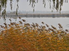 -野鸭湖国家湿地公园