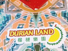 -榴梿乐园