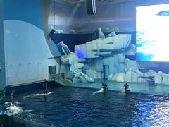 -福州罗源湾海洋世界旅游区