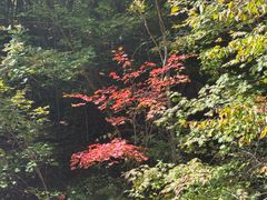 -五女峰国家森林公园