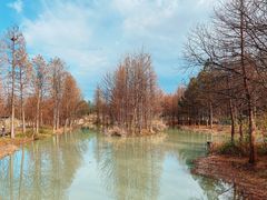 -西溪国家湿地公园