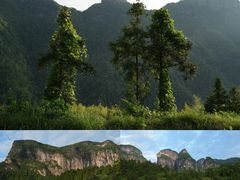 -公盂村