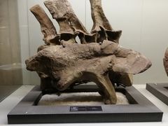 -世界恐龙谷景区