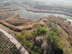 -五环公园