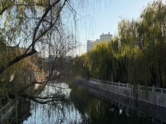 -水绘园