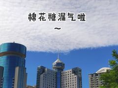 -万绿园
