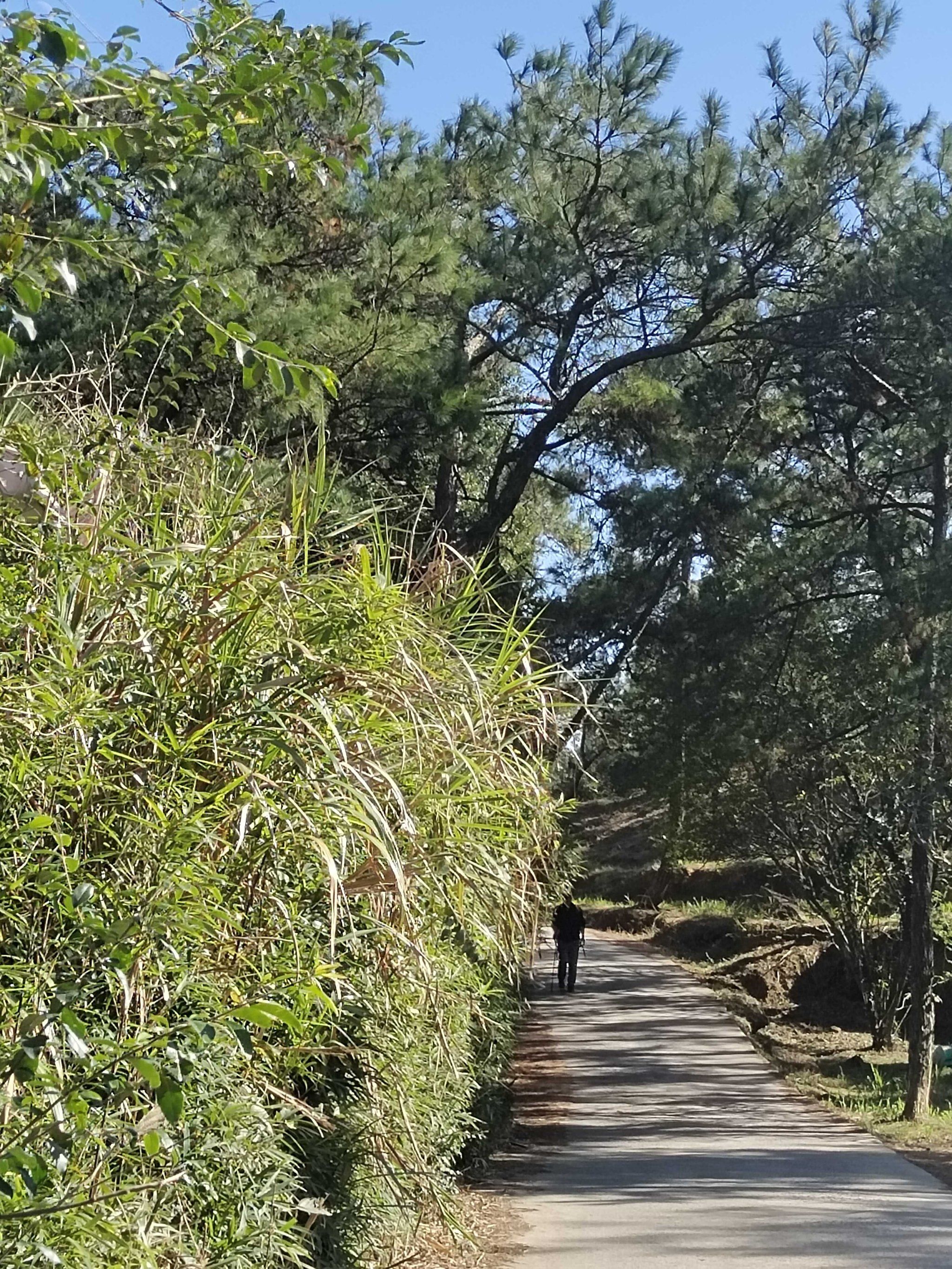 曲径通幽的山间路