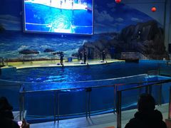 -福州罗源湾海洋世界旅游区