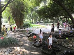 -成都市活水公园