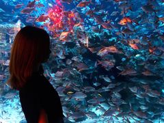 -成都浩海立方海洋公园