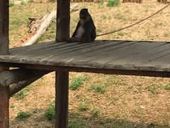 -石家庄市动物园