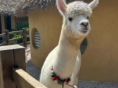 -珠海海泉湾神秘岛亲子乐园