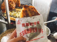 -半月镰胡姐脆皮萝卜饺子