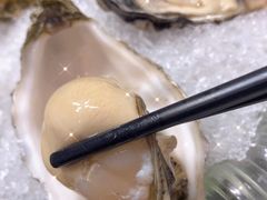 -千岛蚝高压锅生蚝·人参火锅(白云万达店)