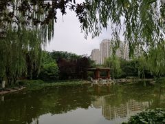 -木塔寺遗址生态公园