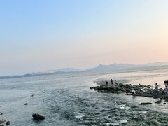 -深圳湾公园(南山区)