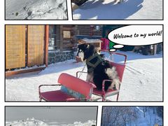 -雪谷