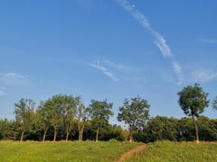 -渭河城市绿地运动公园