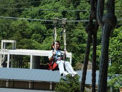 -梦幻奥陶纪景区