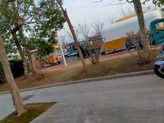 -荷兰花海