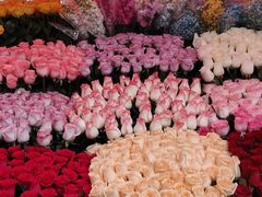 -越秀西湖花市(广州城市广场花卉店)