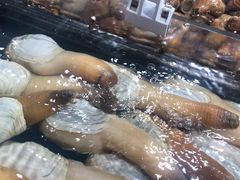 象拔蚌-盒马鲜生(曜一城店)