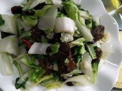 -谭家菜农夫山庄