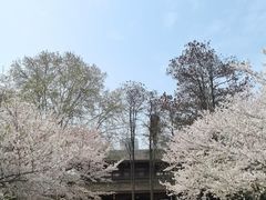 -堤角公园