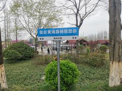 -黄海国家森林公园