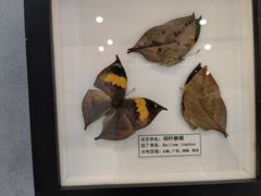 -中国港口博物馆