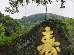 -天鹿湖森林公园