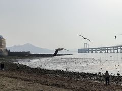 -黑石礁公园