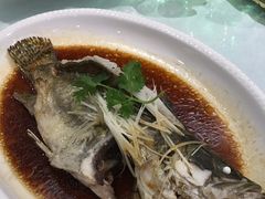 清蒸鲈鱼-峨嵋酒家总店(车公庄店)