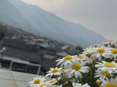-唐咖精品咖啡(大理古城手冲店)