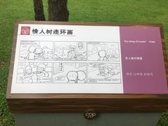 -南宁良凤江国家森林公园