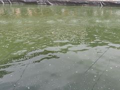 -DGE季风钓虾营地·团建·聚会