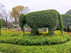 -铁山坪森林公园