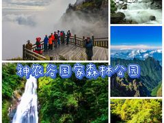 -炎陵县神农谷国家森林公园