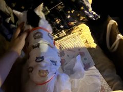 -美联众合爱康动物医院•复杂内科•肿瘤科•牙科•腔镜诊疗中心
