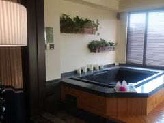 -春晖园度假酒店温泉