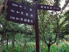 -重庆彩云湖湿地公园