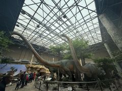 -国家自然博物馆