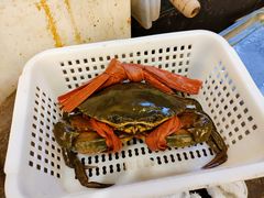 -高记广州大排档(关平路店)