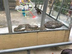 -广东茂名森林公园