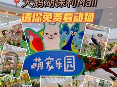 -保利MALL(天鹅湖店)