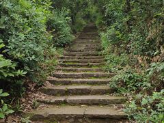 -杭州半山国家森林公园