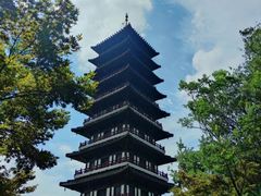 -宜兴龙背山森林公园
