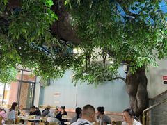 -中雪冰冰凉(沙湾国际店)