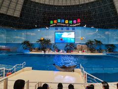 -泉城欧乐堡海洋极地世界